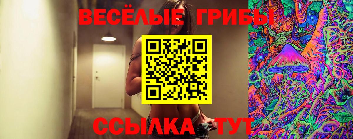 Галлюциногенные грибы GOLDEN TEACHER Реутов