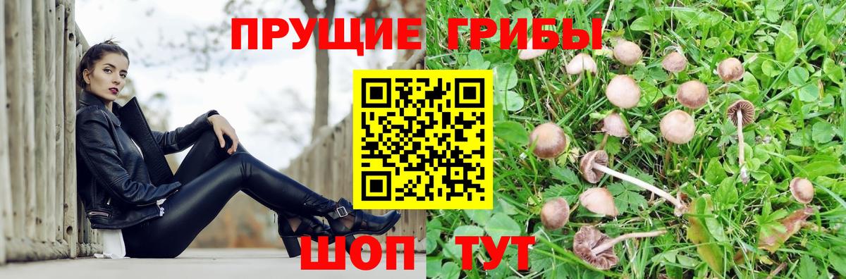 Псилоцибиновые грибы прущие грибы  Вход с VPN  Реутов 